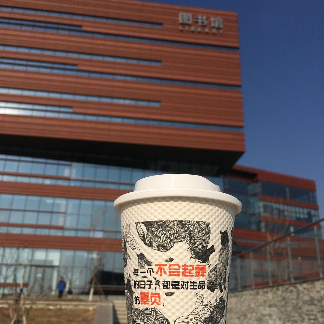 小鸟说早早早