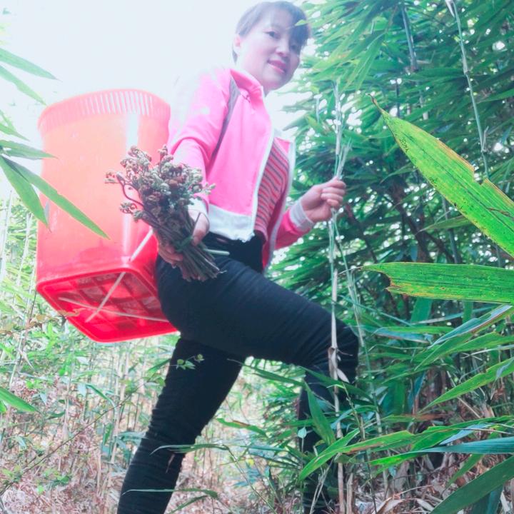 高山的女孩