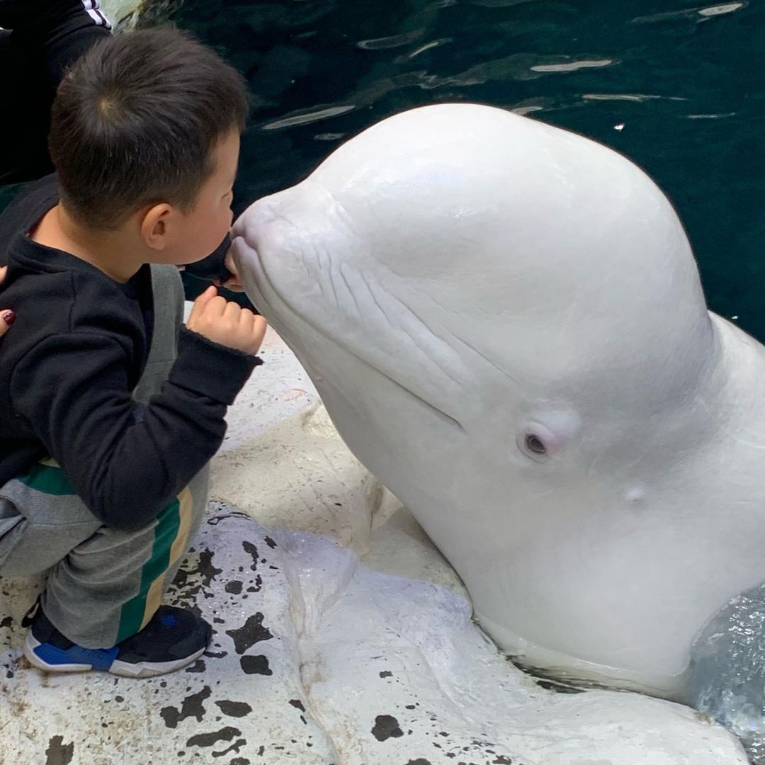 纯果乐—-杭州圣悦环保科技