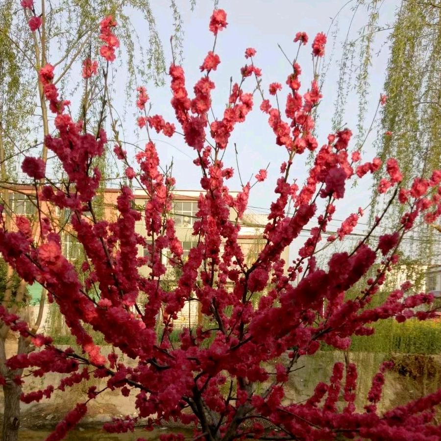 人这一生啊！！！！！