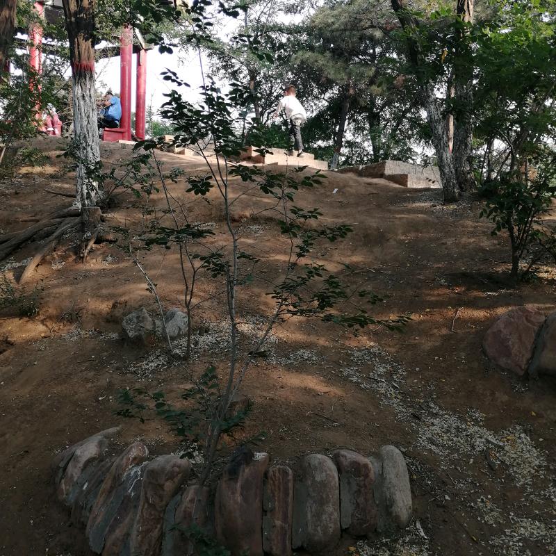 中华百货