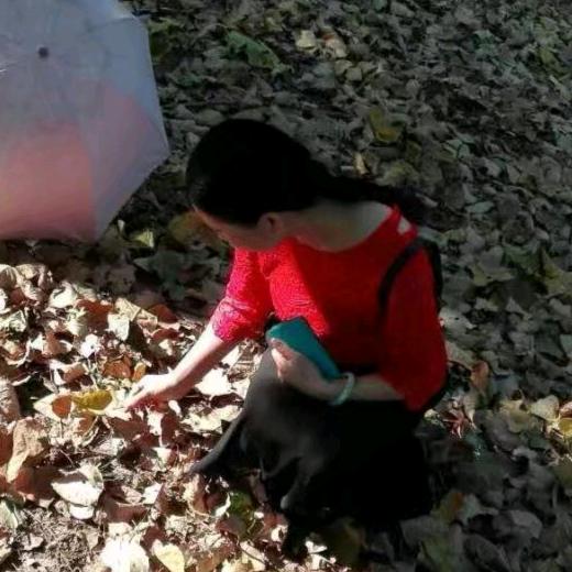 格力沈姐