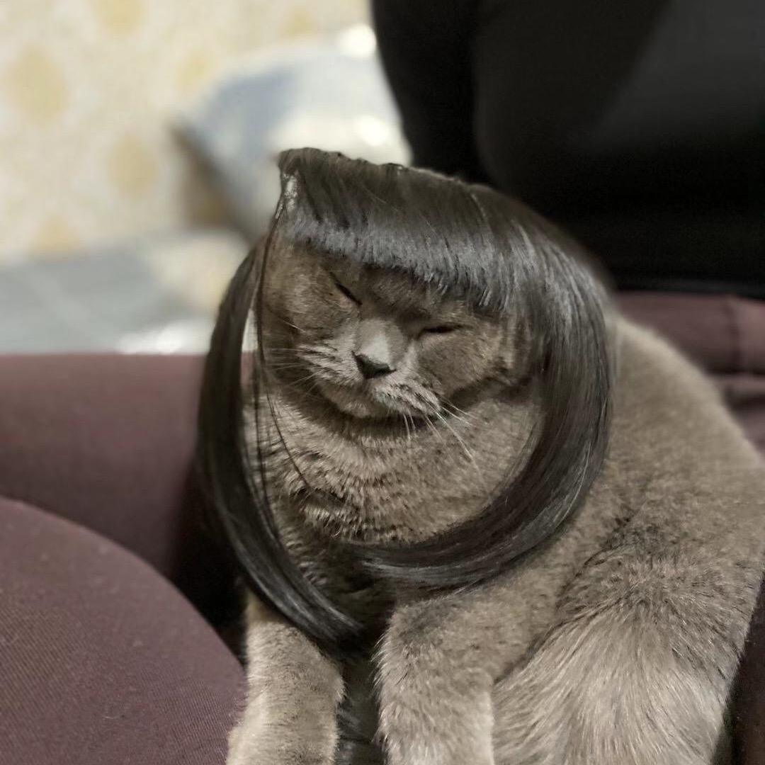 强强是个小胖胖