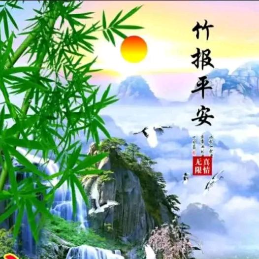 赵哥ZG