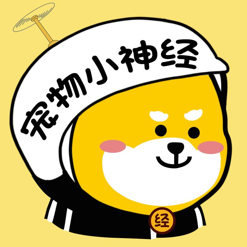 宠物小神经