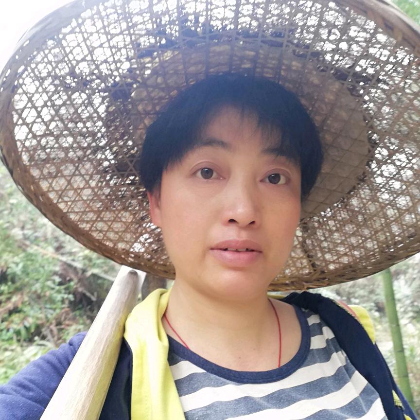 切记挖药要留种：如果不留种：一定会绝种