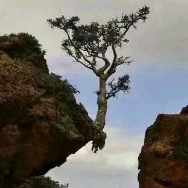 漂泊