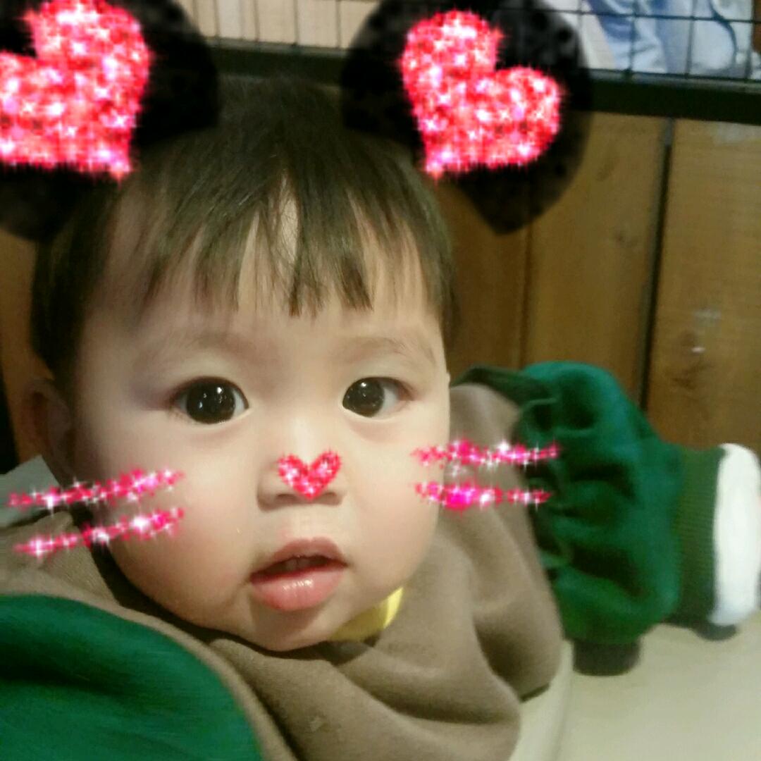 飞天遁地小神猪💕