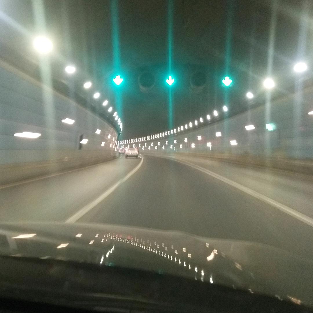 贾宝宝