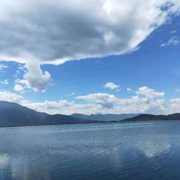 高腾