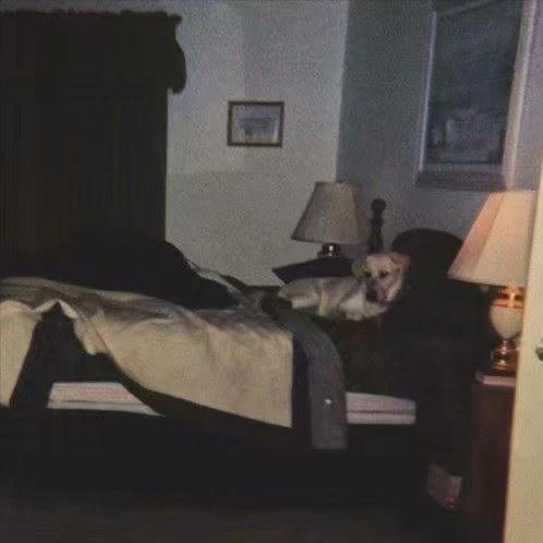 大大怪下士👾