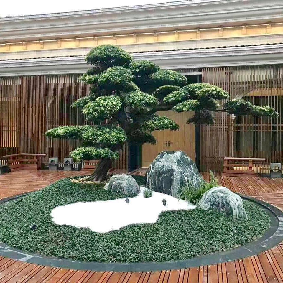 罗汉松园艺场