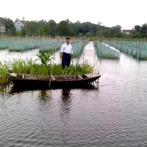 保丰新农业