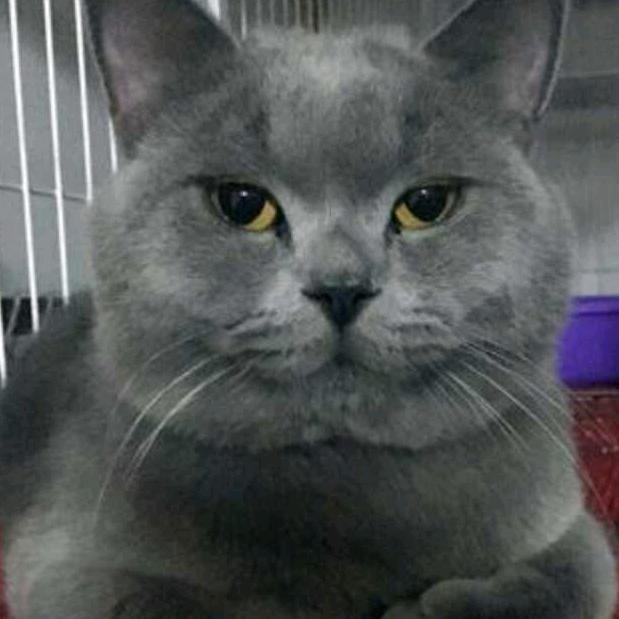 筱楼壹夜听风雨