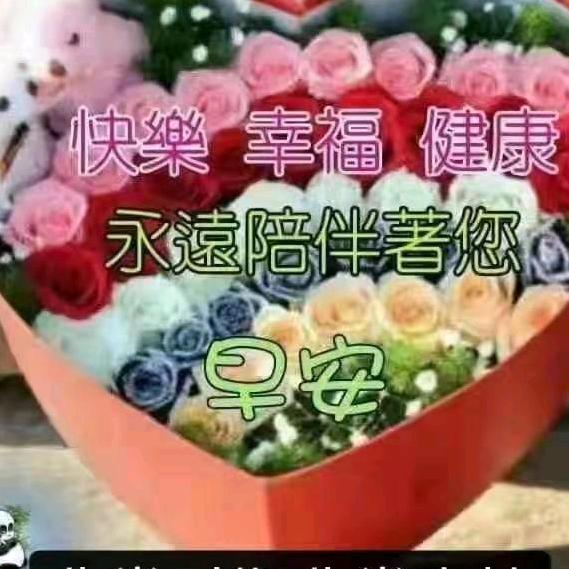 金桥一店童装昊运莲莲