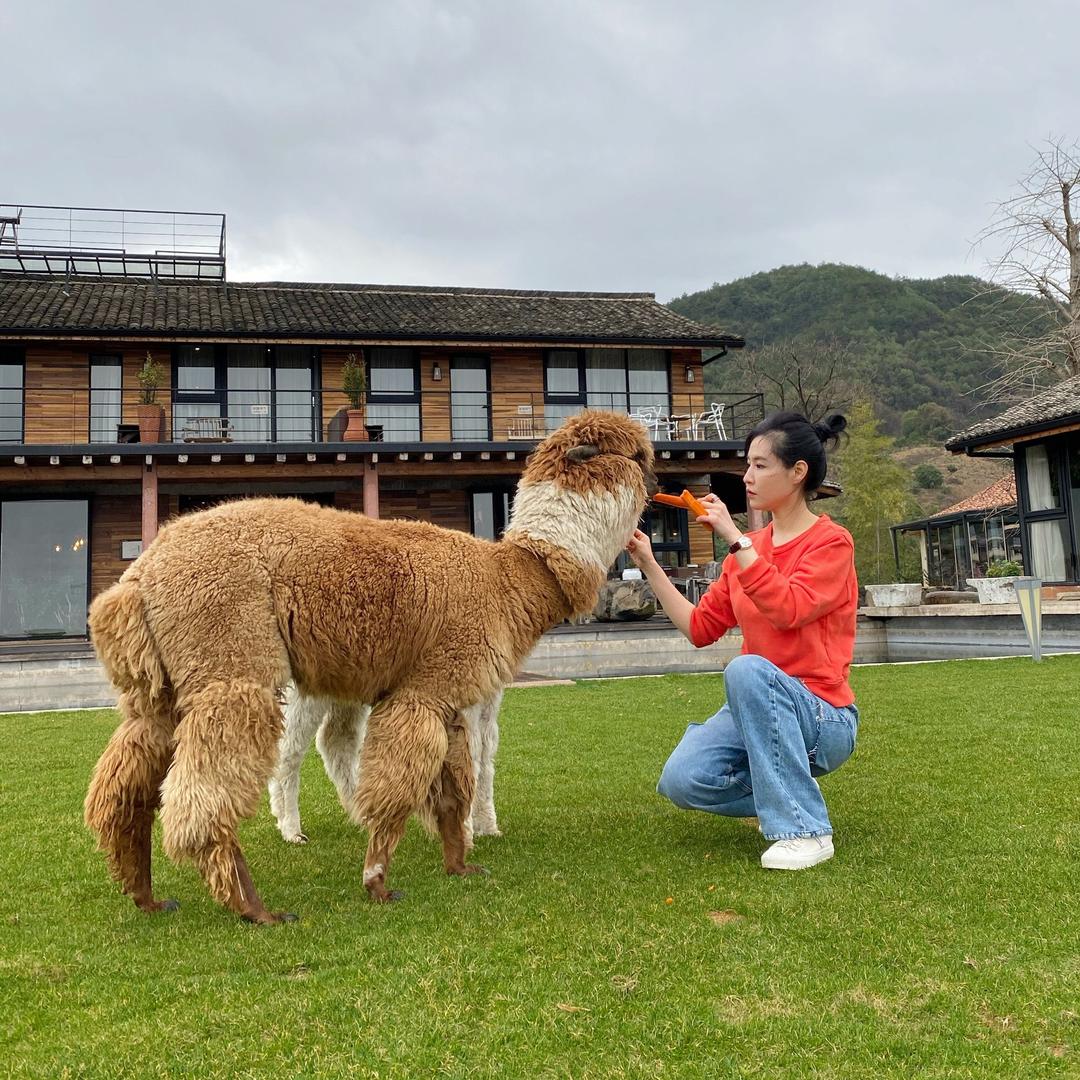 山海云宿女主