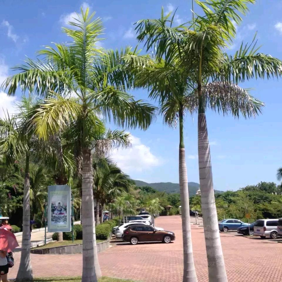 西门子进口家电