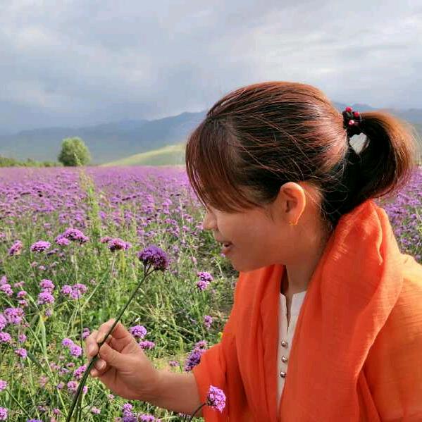 桃花儿朵朵开