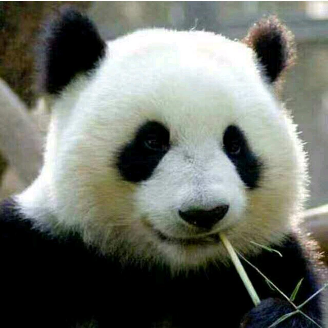发个呵呵