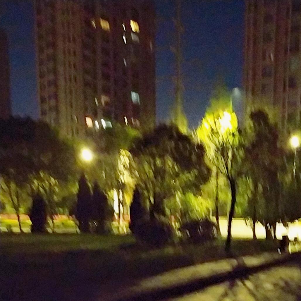 琴琴囊