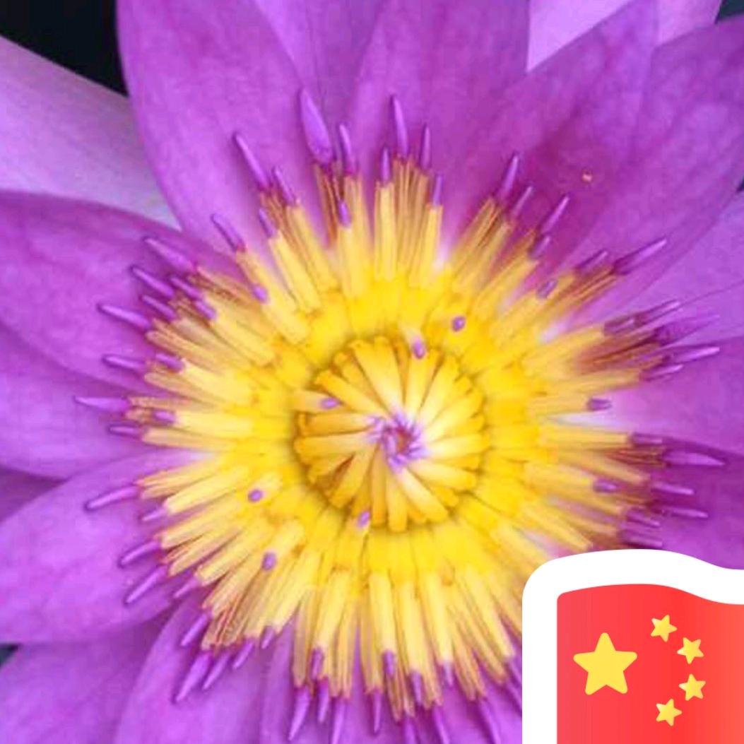 A平安是福