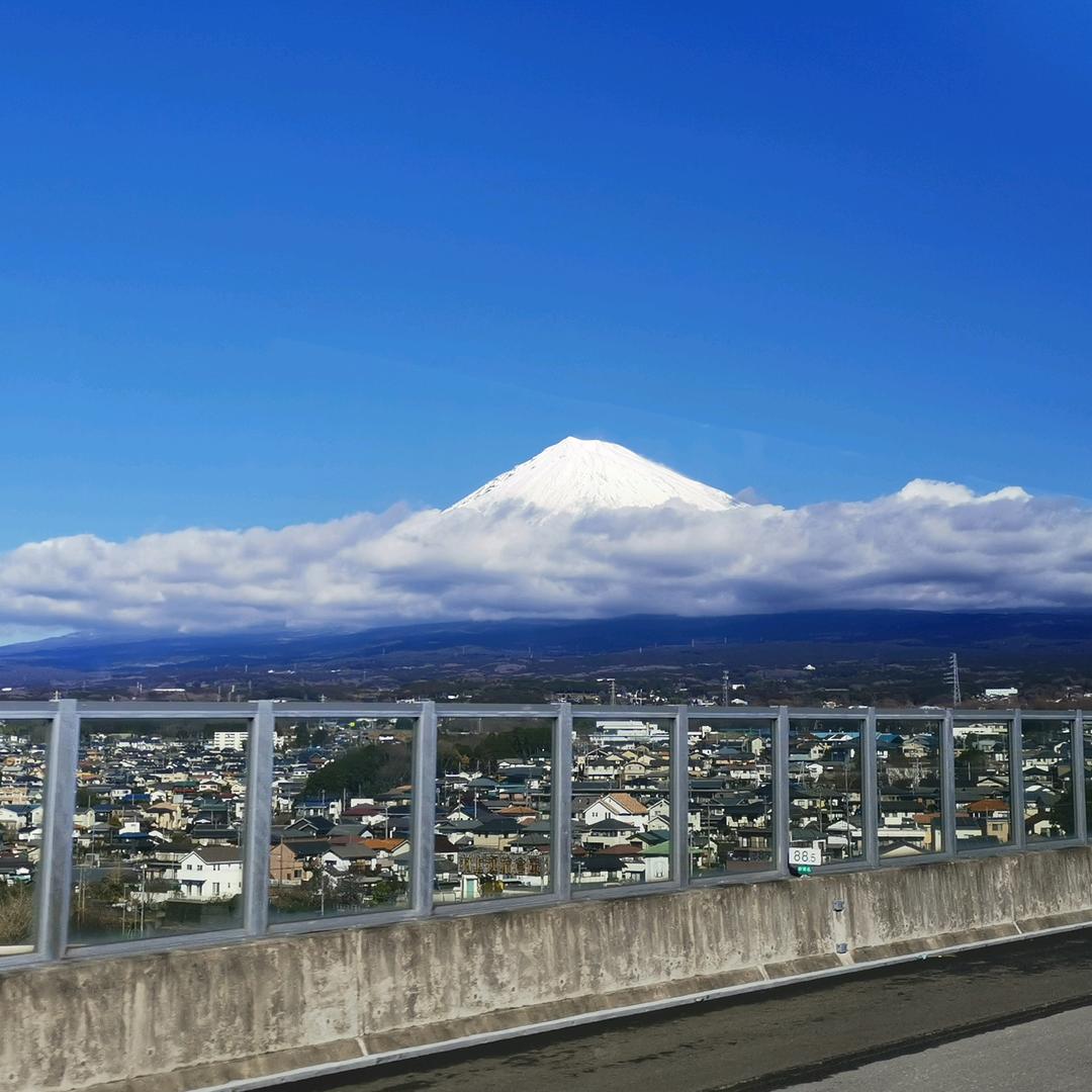 洋裝先生