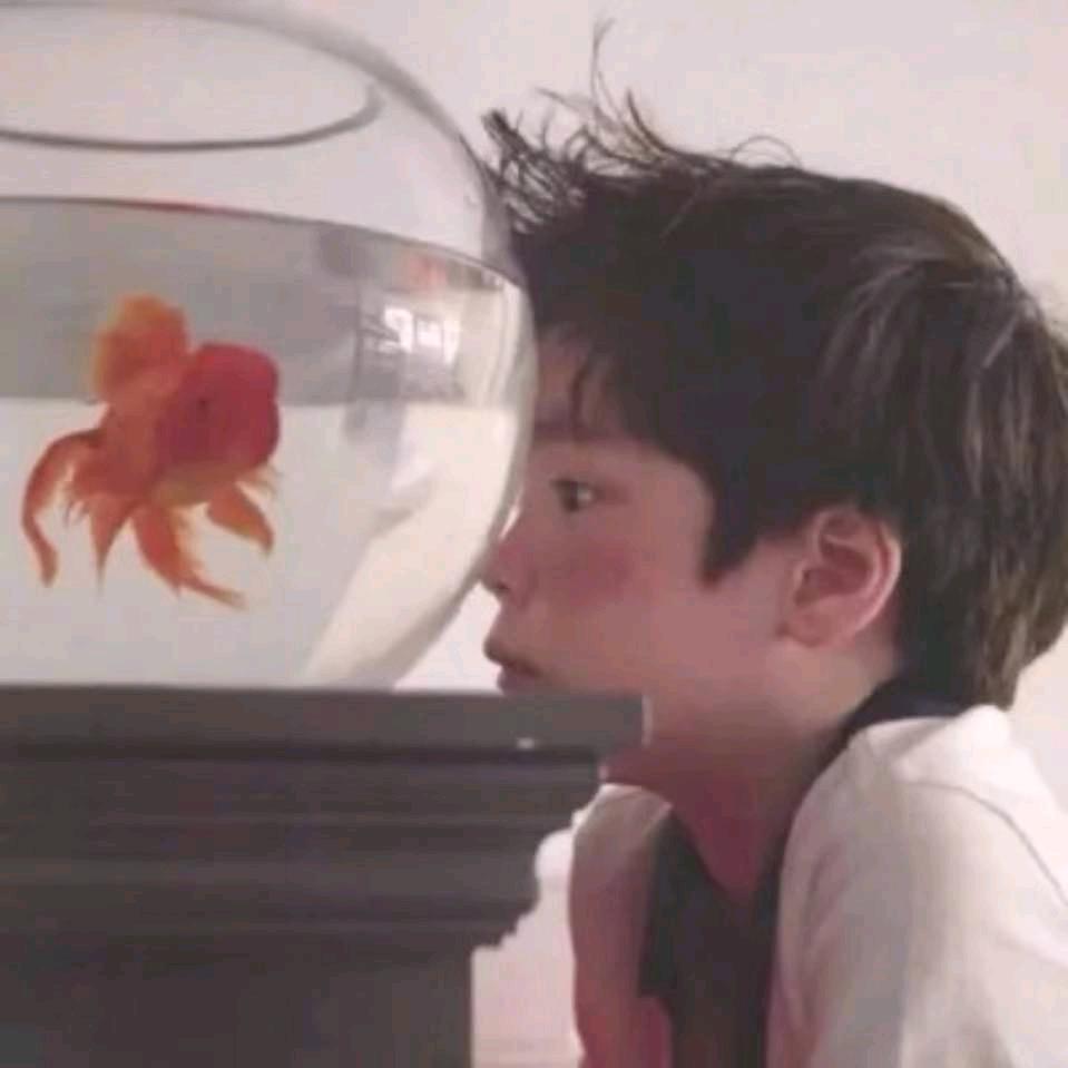 南方丶有乔木