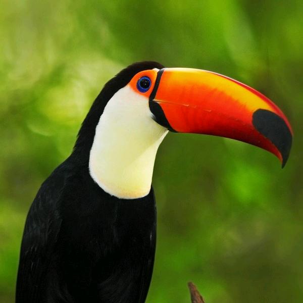 卜〈‘r5孙lli丫