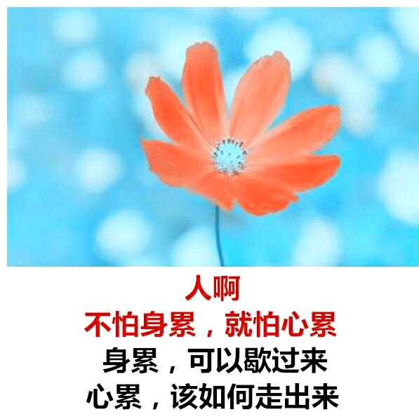 雨后阳光