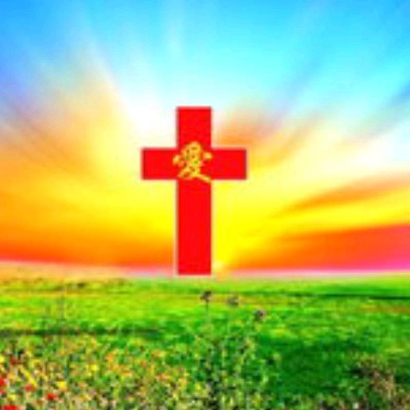 玫瑰🌹情缘，施工电梯司机小李