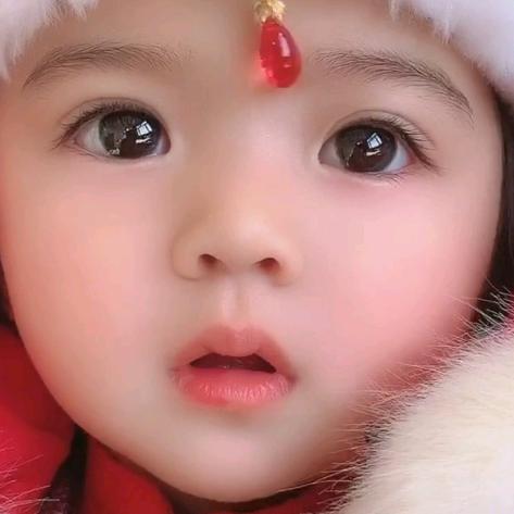 知诚