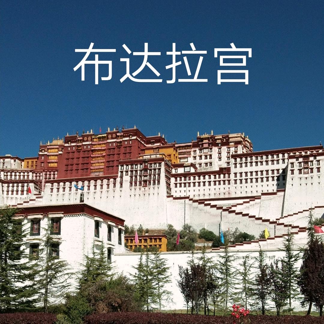 张姐，六二年的虎。