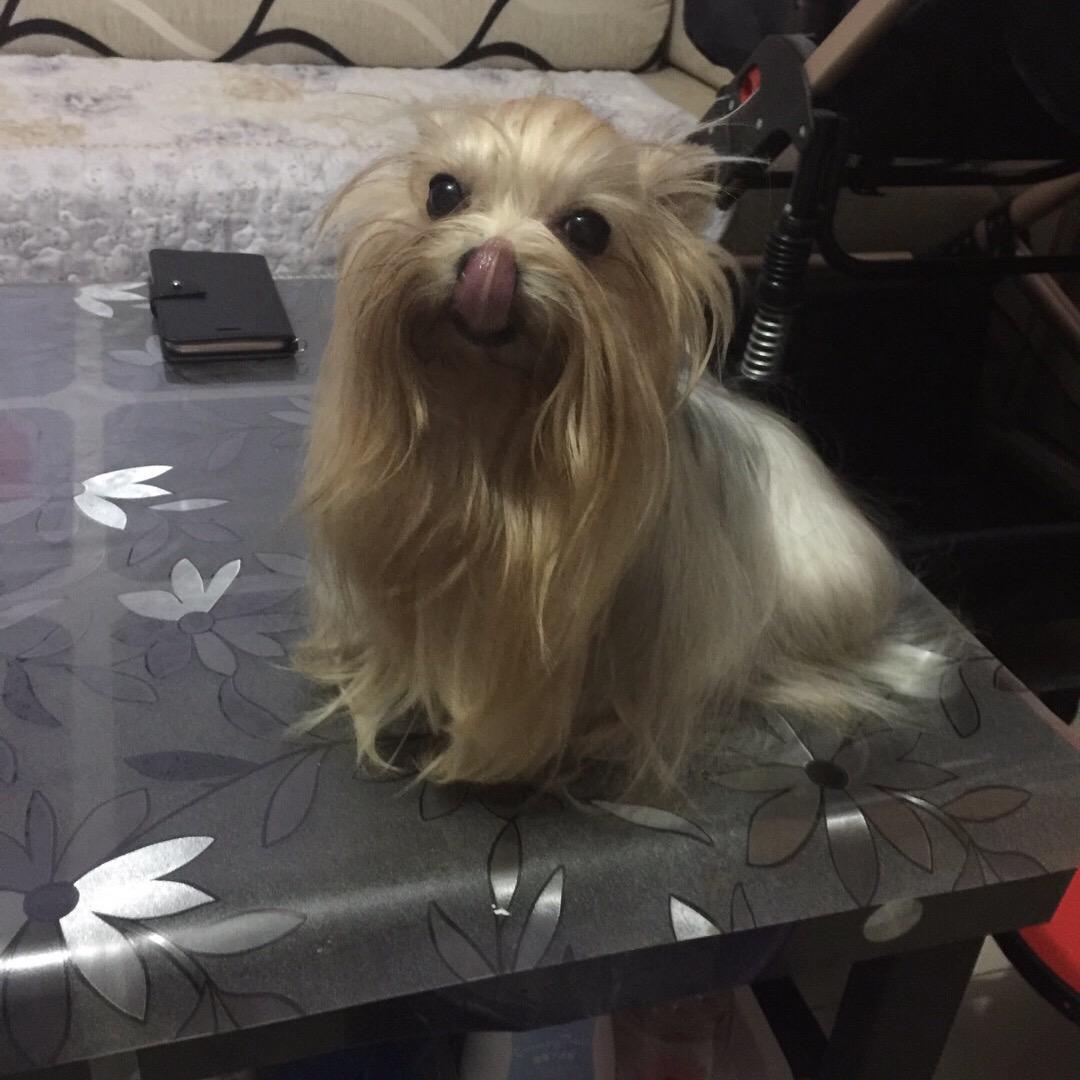 思念