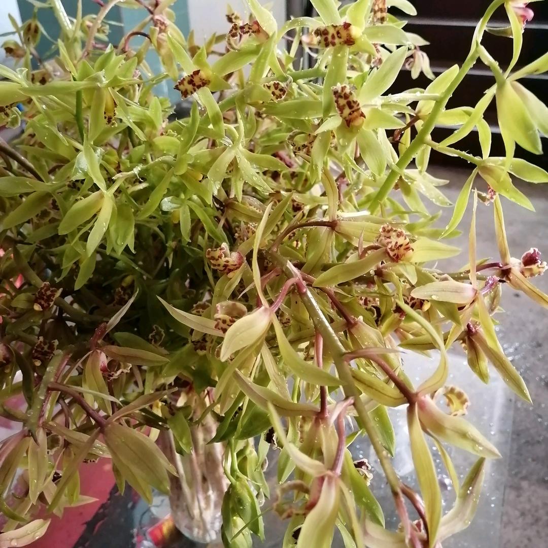 风雨相伴