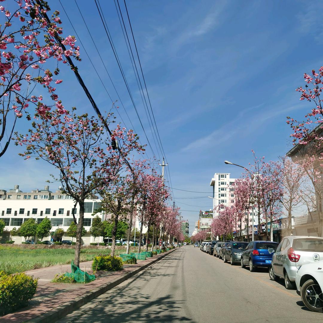 🌈🌈🌈知书达李🌈🌈🌈