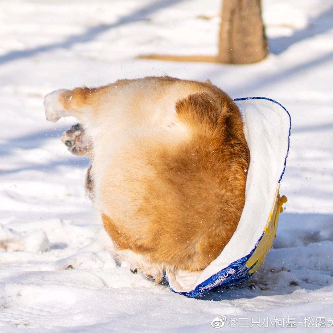 自嘲是为了控制他人