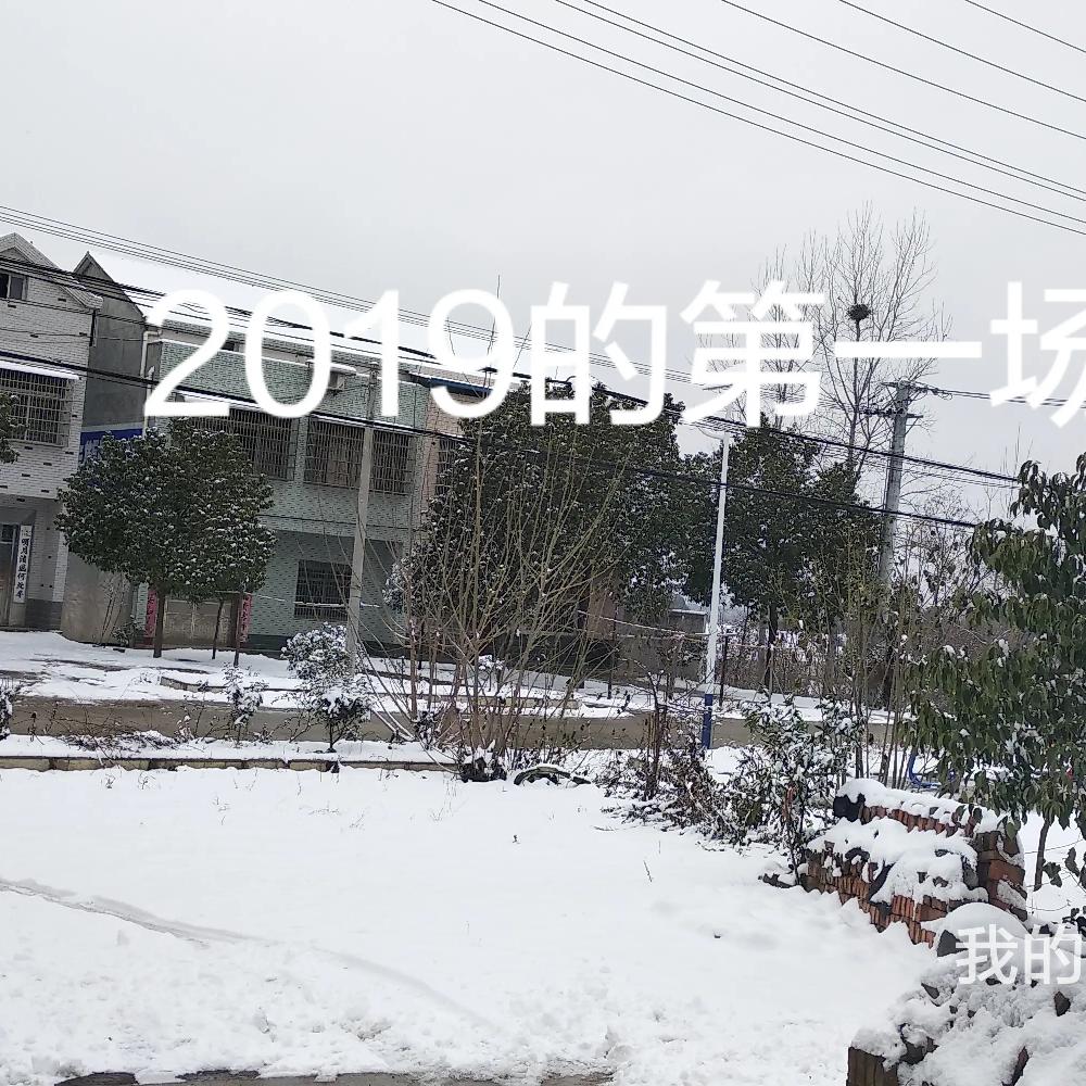 高山巍巍，志勇刚强