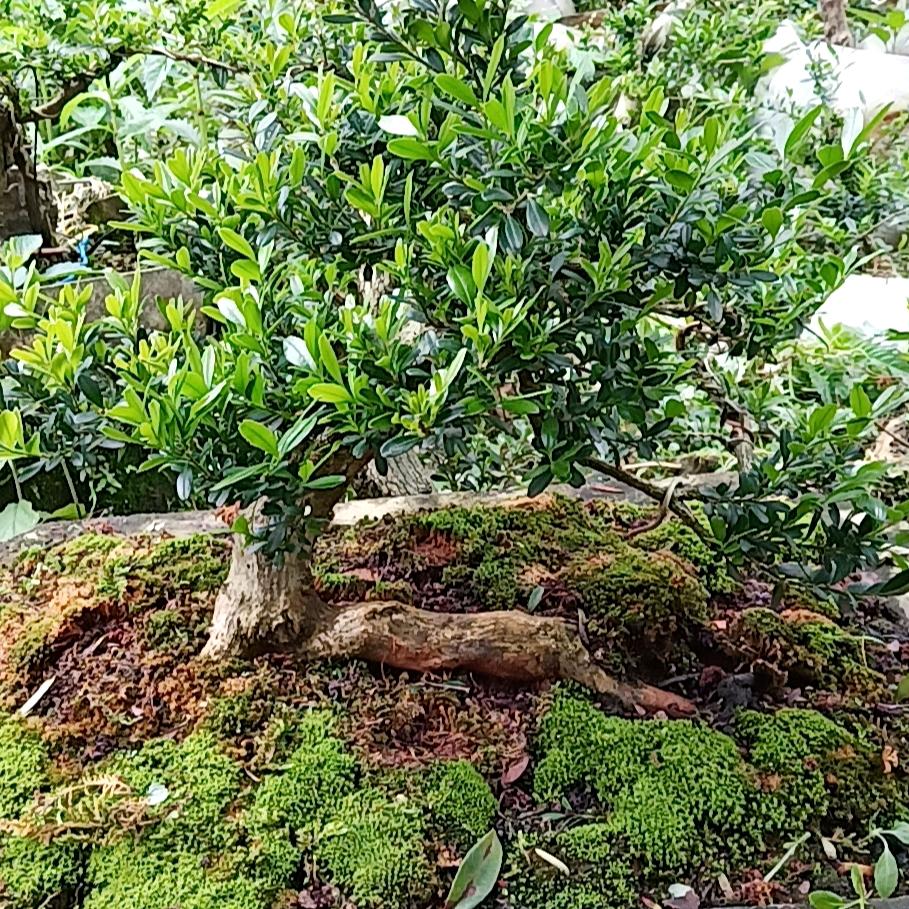 幸福来敲门。