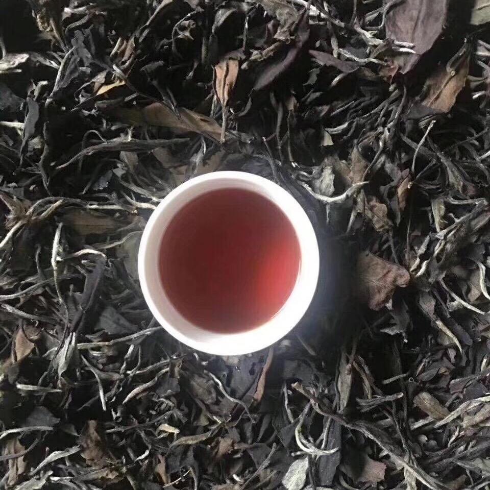 爱吃鱼的茂