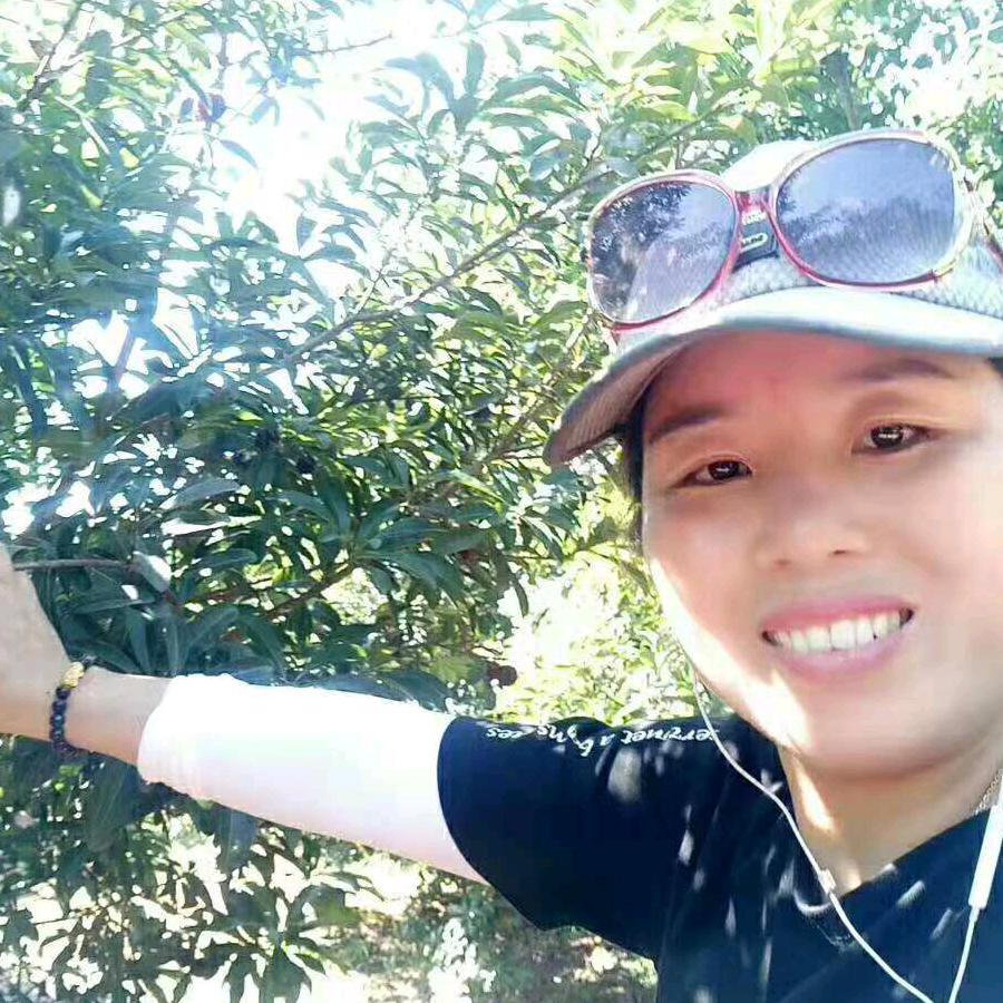 生命中的过客(陈晨)