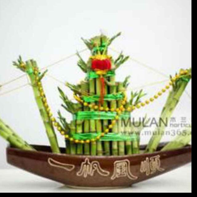 努力，才幸福！