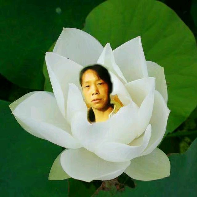 心语