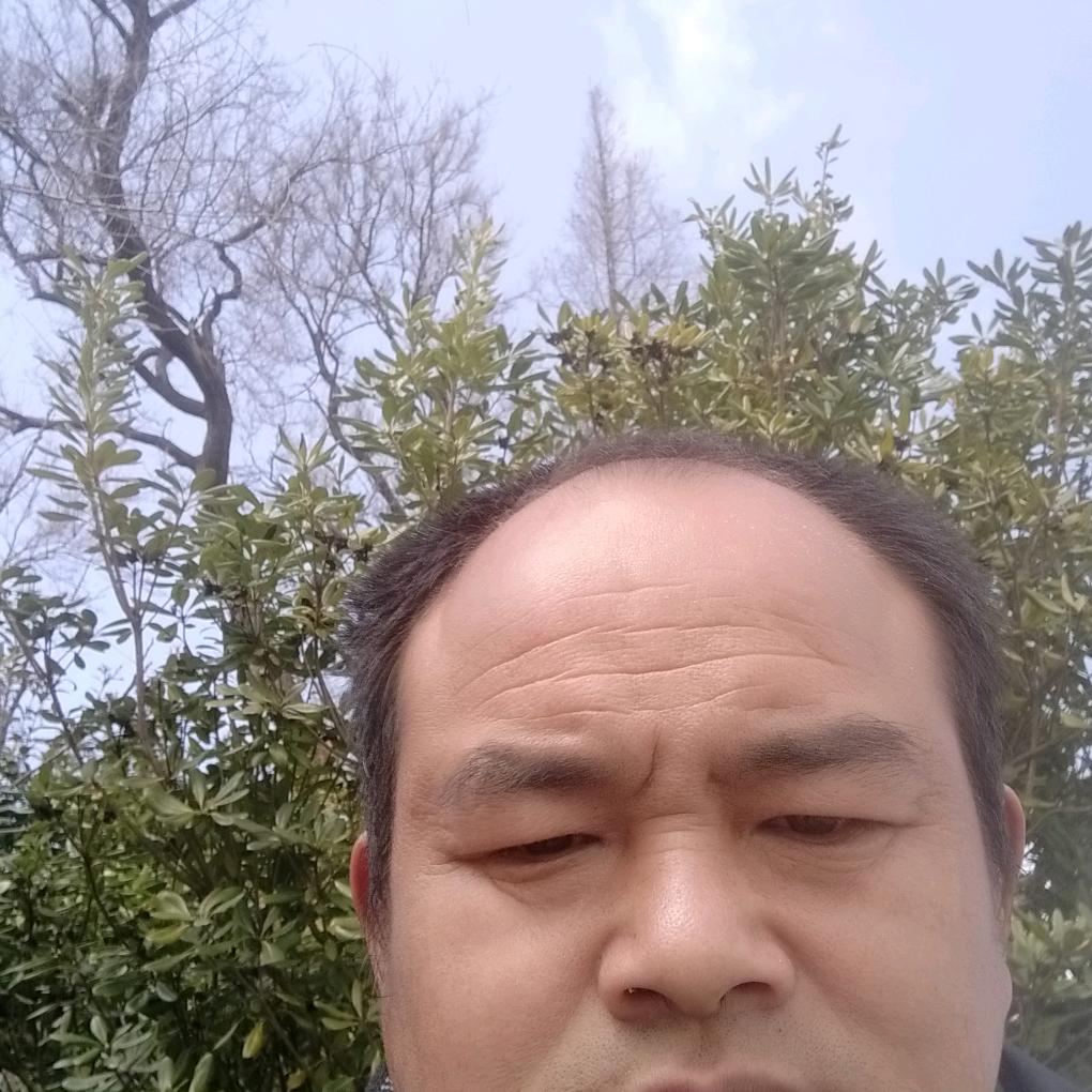 得失随缘