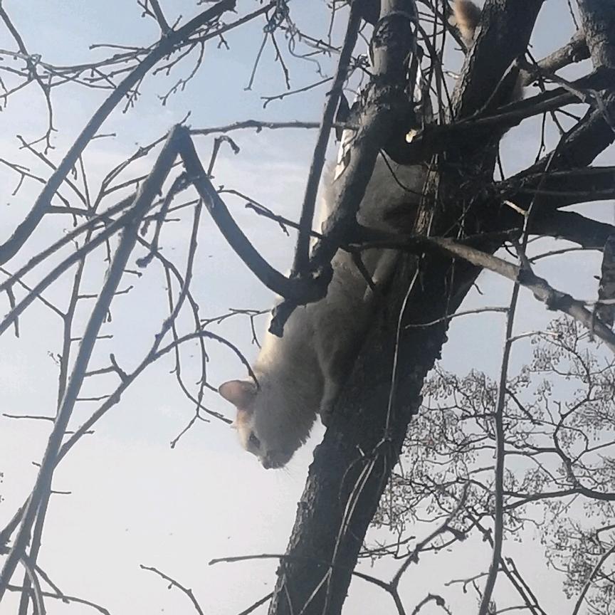 大海自建房技术咨询
