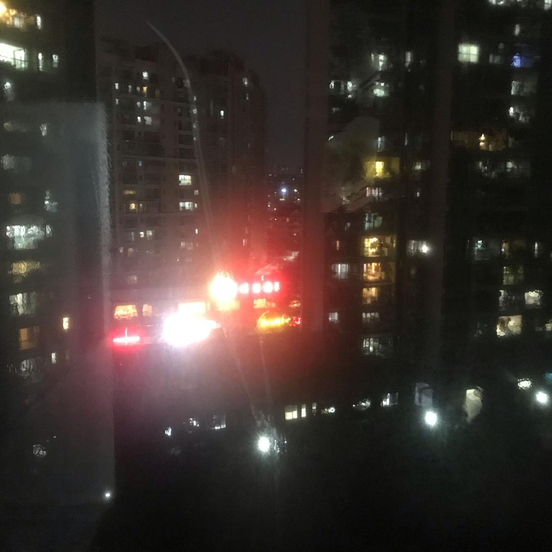 土拨鼠
