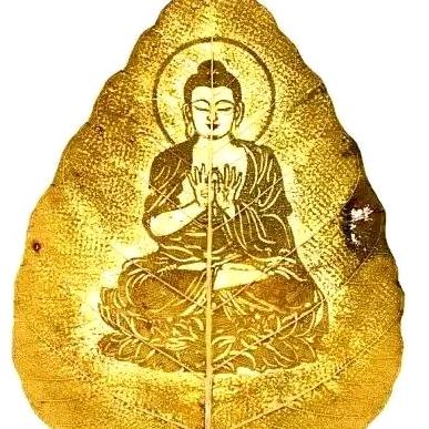 衡阳农乡恵乡土食材搬运工．资小海