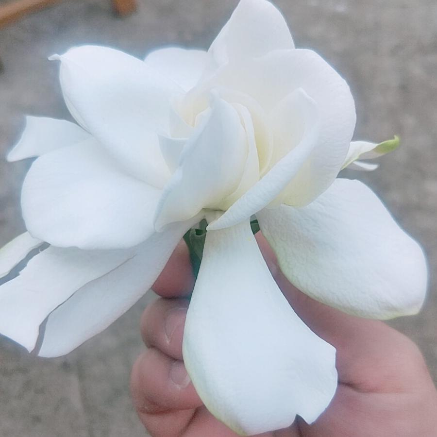 名光数控加工