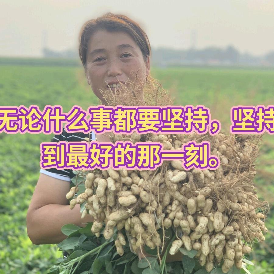 高社荣