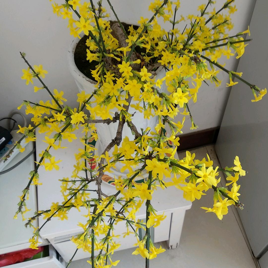 美好的时光