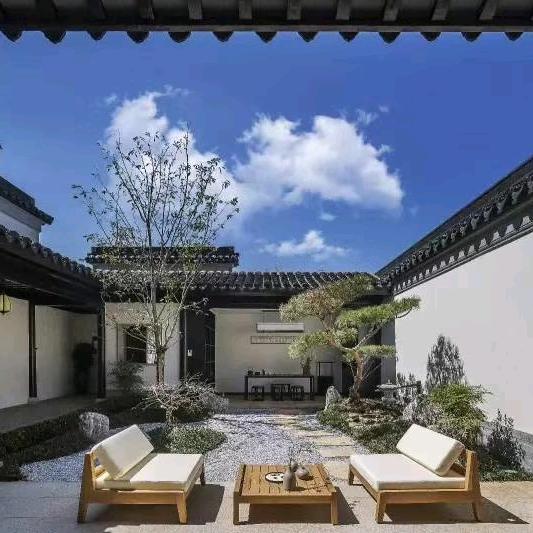 大树